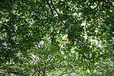 克苏鲁风格冒险手游《代号：红月》实机演示