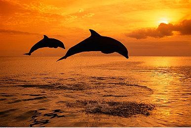 太空射击游戏《永恒空间2》主机版发售预告 现已加入XGP